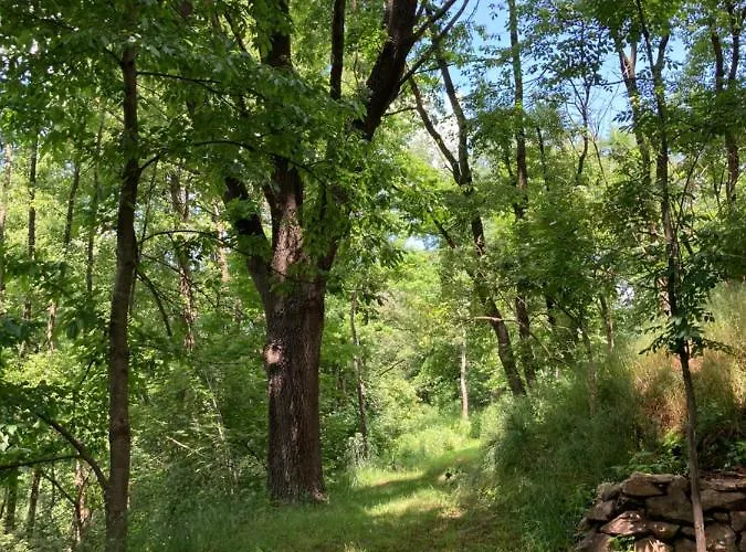 Karavan Na Louce Volenice (Pribram)